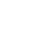 BG Cup